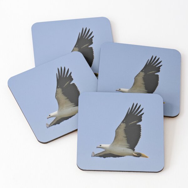 Item preview, RAPTOR ~ White-bellied Sea-eagle by David Irwin DJI3MM6EW4H designed and sold by tasmanianartist.