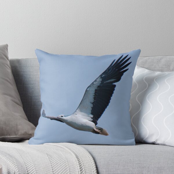 Item preview, RAPTOR ~ White-bellied Sea-eagle by David Irwin DJIX8FP4349 designed and sold by tasmanianartist.