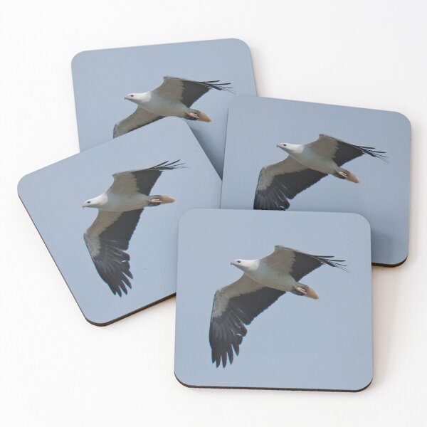 Item preview, RAPTOR ~ White-bellied Sea-eagle by David irwin DJI7D42KM7Z designed and sold by tasmanianartist.