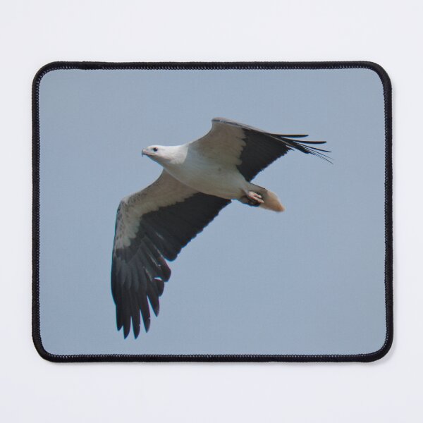Item preview, RAPTOR ~ White-bellied Sea-eagle by David irwin DJI7D42KM7Z designed and sold by tasmanianartist.