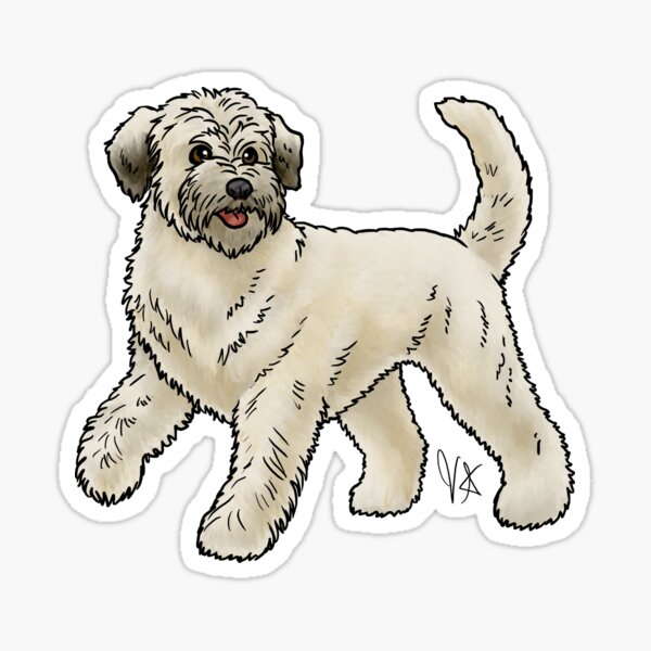 Soft-Coated Wheaton Terrier - Heavy Coat Cream Sticker