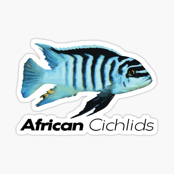 staten island cichlids