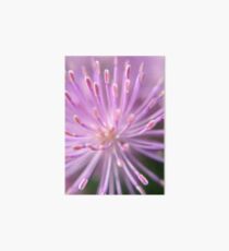 Macro Petals Art Board