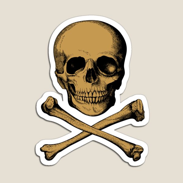 Skull And Crossbones Magnets for Sale