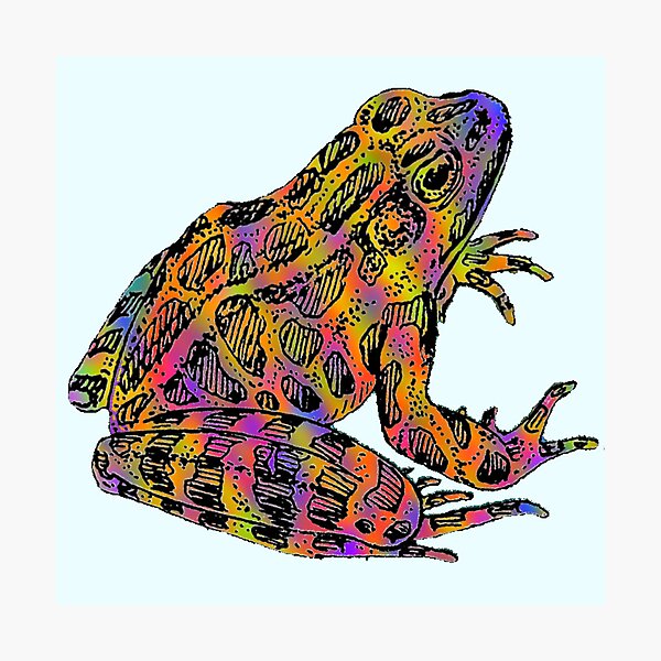 Fantasy Poison Rainbow Frog  Photographic Print for Sale by Amanda1775