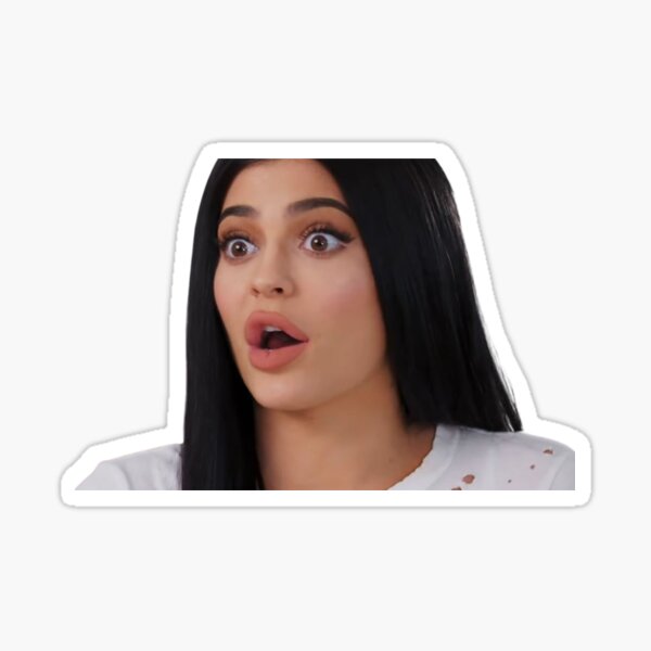 &ldquo;Funny Kylie Jenner Face Meme&rdquo; Sticker for Sale by LujyStore | Redbubble