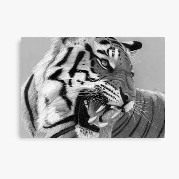 Item preview, An Angry Tiger - Pencil Drawing designed and sold by Jasmina Susak.