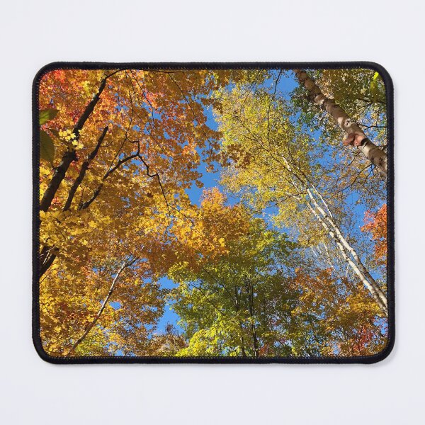 Item preview, Fall color maple leaves designed and sold by MiaoMiaoYu.
