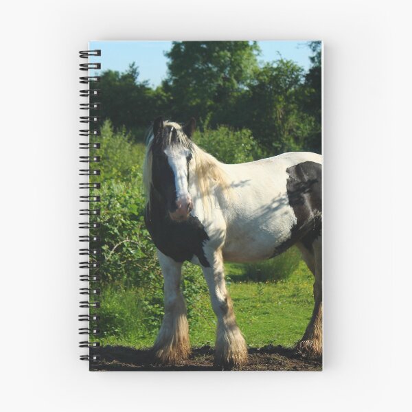Item preview, Piebald Horse. designed and sold by Jo Lodge.