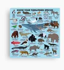 Know Your Threatened Species Canvas Print