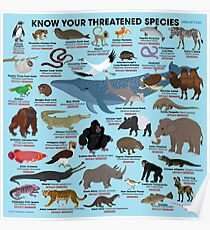 Know Your Threatened Species Poster