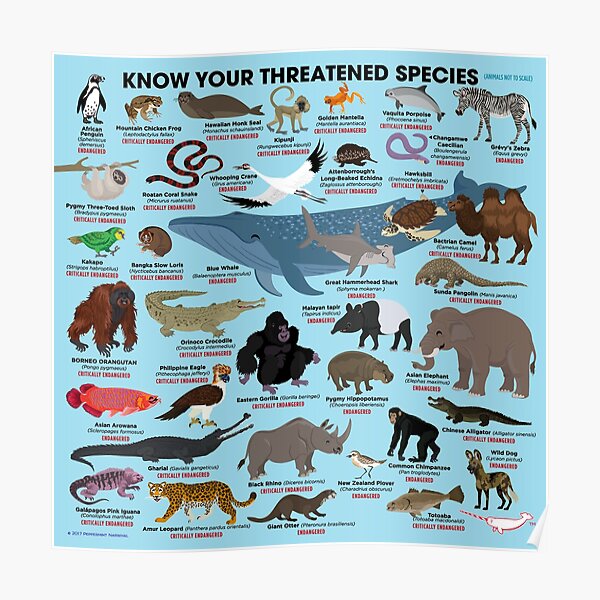 Know Your Threatened Species Poster