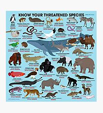 Know Your Threatened Species Photographic Print
