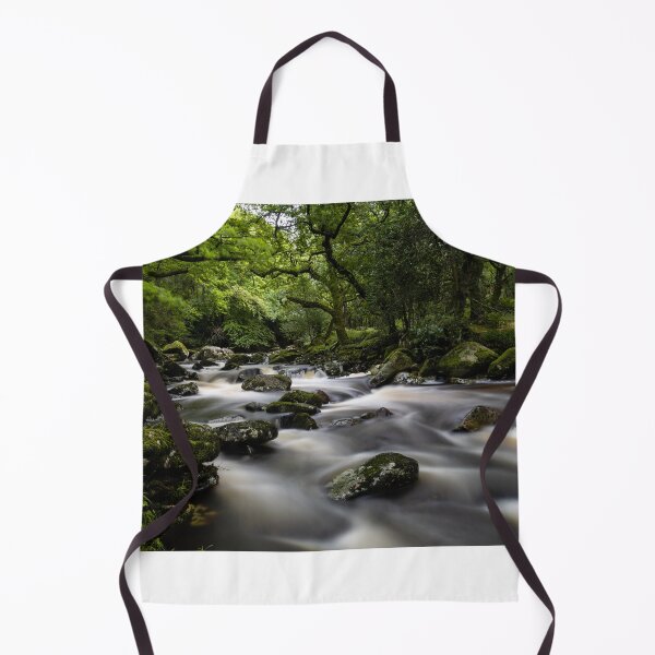 Item preview, Shaugh Bridge designed and sold by DiFigianoPhoto.