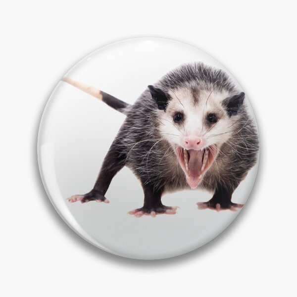 Item preview, opposum designed and sold by xdekoxx.