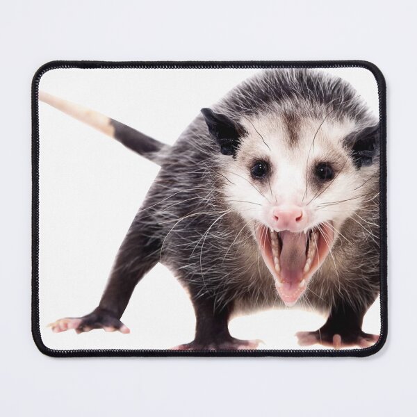 Item preview, opposum designed and sold by xdekoxx.