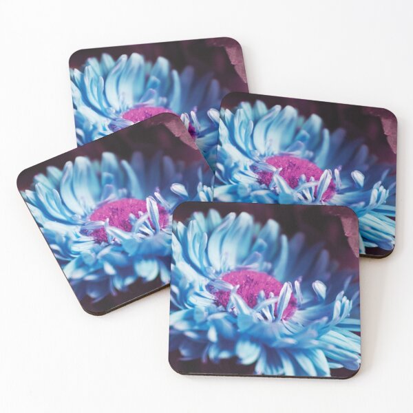 Item preview, Experiments designed and sold by Dominika Aniola.