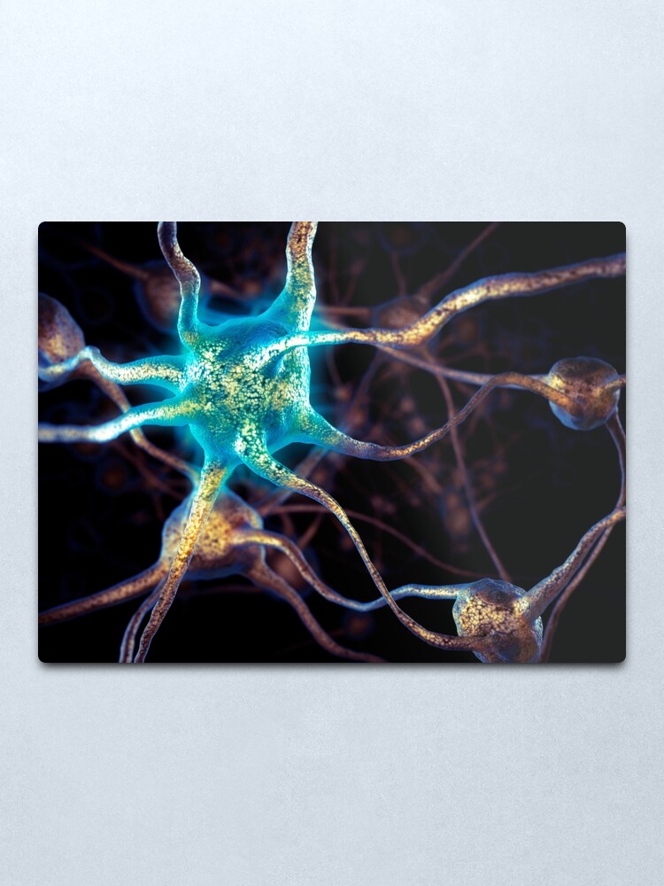Alternate view of Brain cells network of neurons 3D illustration art photo print Metal Print
