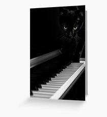 Black cat on piano keyboard art photo print Greeting Card