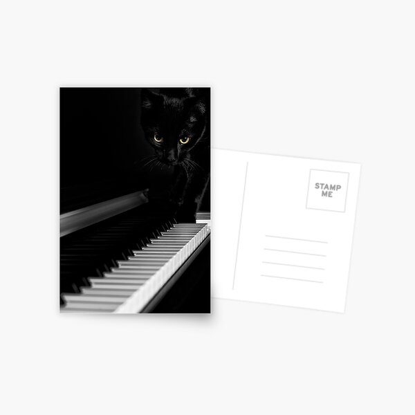 Item preview, Black cat on piano keyboard art photo print designed and sold by AwenArtPrints.