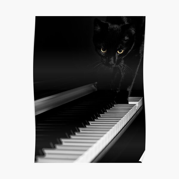 Black cat on piano keyboard art photo print Poster
