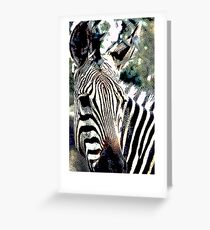 Zebra,136 viewings, 1person favorite, 6 comments Greeting Card