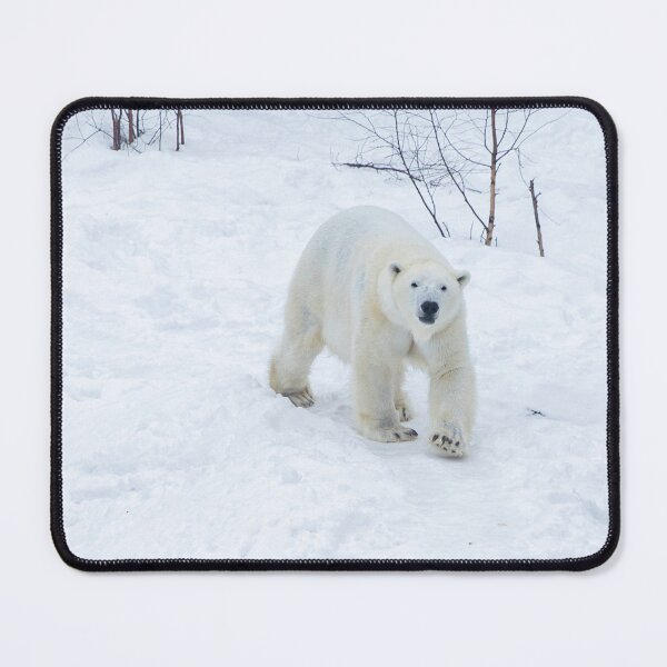 Item preview, Polar bear in snow designed and sold by HTPOP.