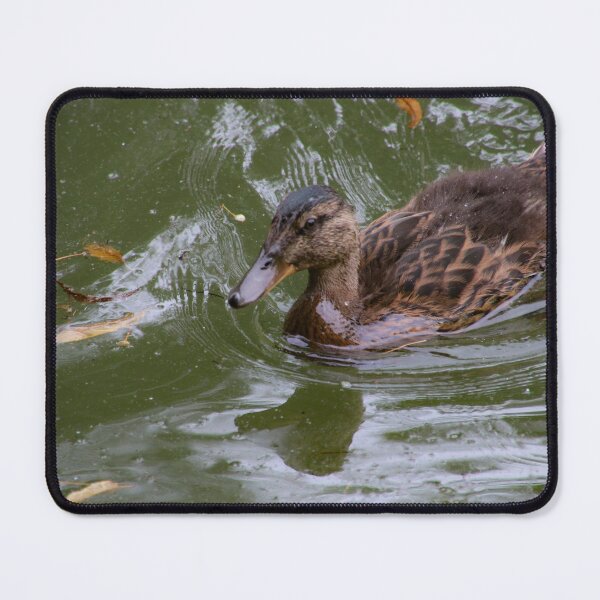 Item preview, young female mallard designed and sold by Perggals© - Stacey Turner.