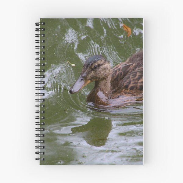 Item preview, young female mallard designed and sold by Perggals© - Stacey Turner.