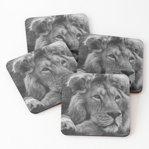 Item preview, Asiatic lion in black and white designed and sold by cdkphotos.