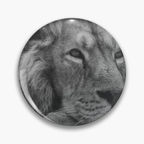 Item preview, Asiatic lion in black and white designed and sold by cdkphotos.