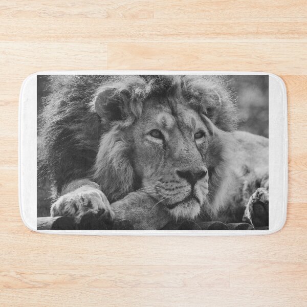 Item preview, Asiatic lion in black and white designed and sold by cdkphotos.