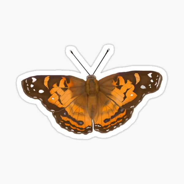 Painted Lady Butterfly Sticker