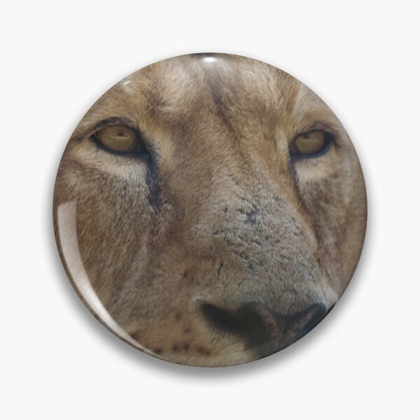 Item preview, Male lion portrait designed and sold by cdkphotos.