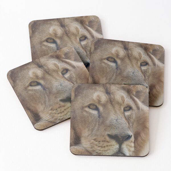 Item preview, Male lion portrait designed and sold by cdkphotos.