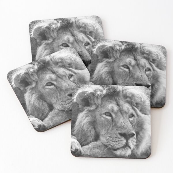 Item preview, Black and white male lion portrait designed and sold by cdkphotos.