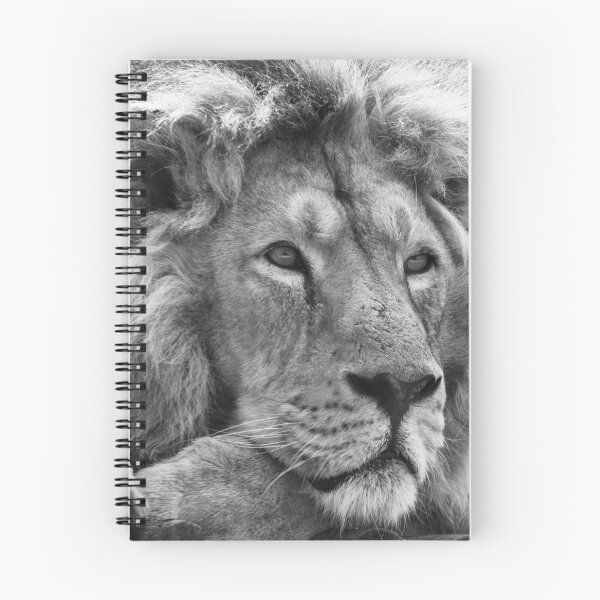 Item preview, Black and white male lion portrait designed and sold by cdkphotos.