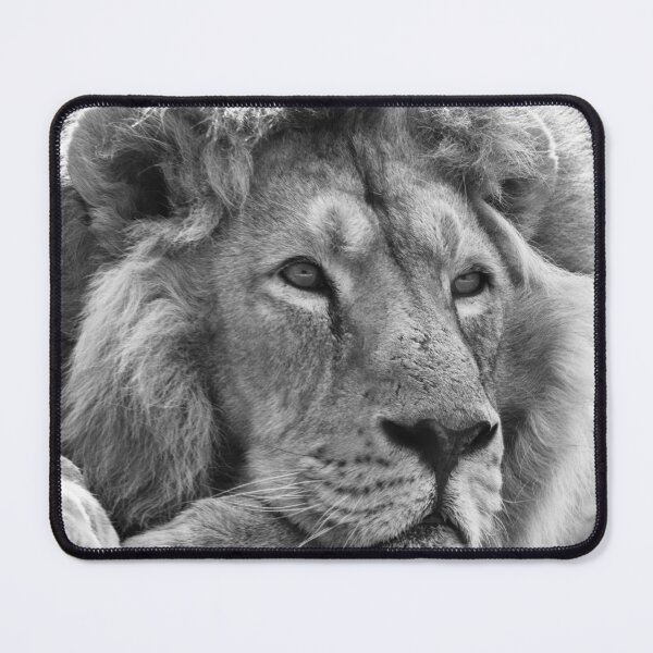 Item preview, Black and white male lion portrait designed and sold by cdkphotos.