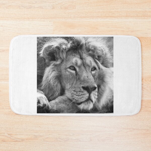 Item preview, Black and white male lion portrait designed and sold by cdkphotos.