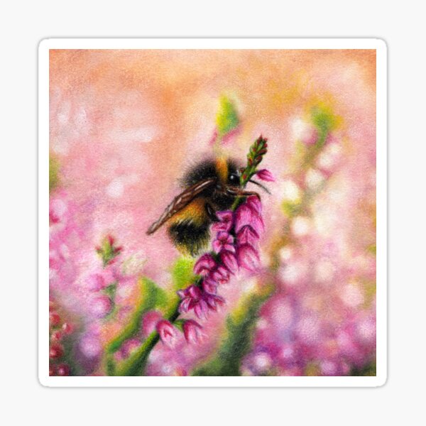Summer Evening Bumblebee Drawing | Wildlife Art | Nature Sticker