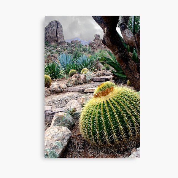Desert Color Canvas Print