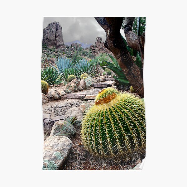 Desert Color Poster