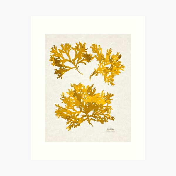 Item preview, Gold Seaweed Art designed and sold by Christina Rollo.