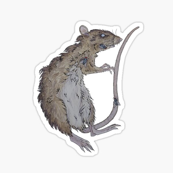 Pegatinas: Dead Rat | Redbubble Pegatinas: Dead Rat | Redbubble