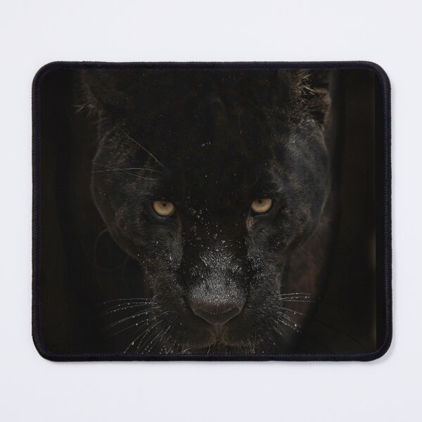 Item preview, Black Jaguar designed and sold by MuscleCarTs.