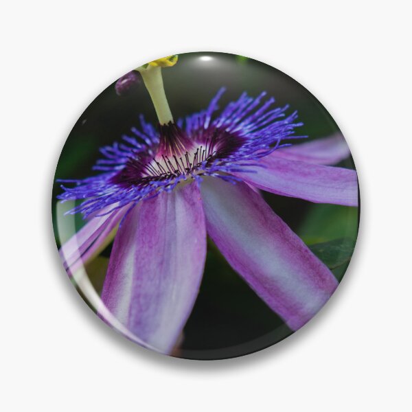 Item preview, Passiflora Flower Photography designed and sold by Araveen-Photo.