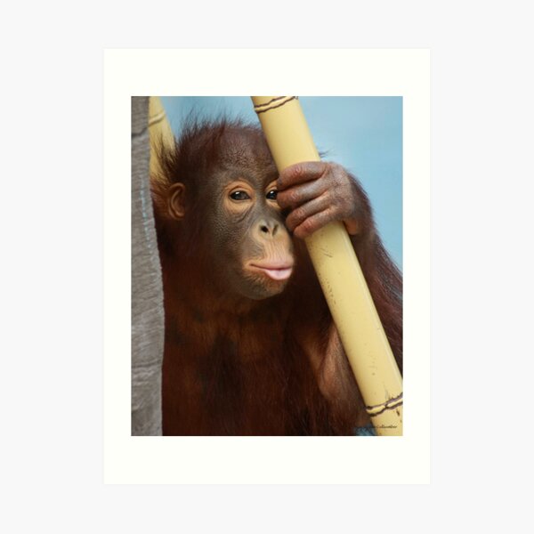 Blowing Kisses Art Print