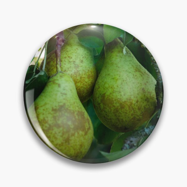 Item preview, Pears designed and sold by Araveen-Photo.