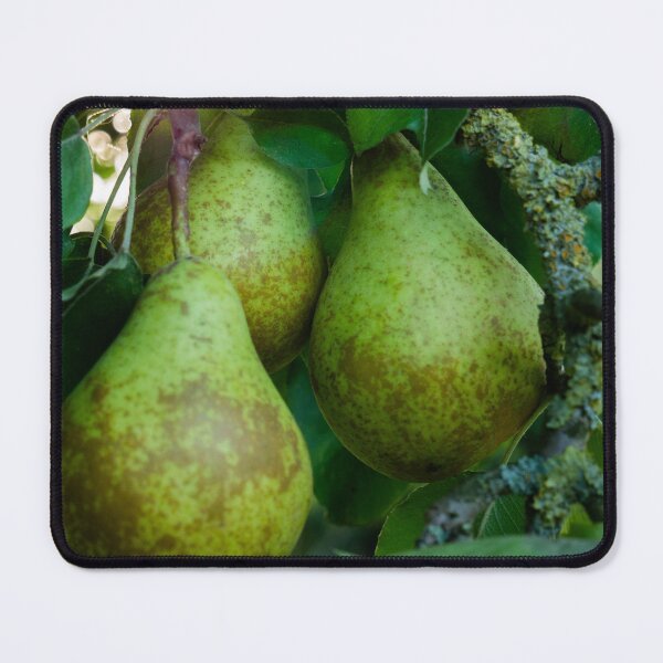 Item preview, Pears designed and sold by Araveen-Photo.