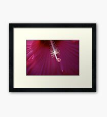 Macro Framed Print